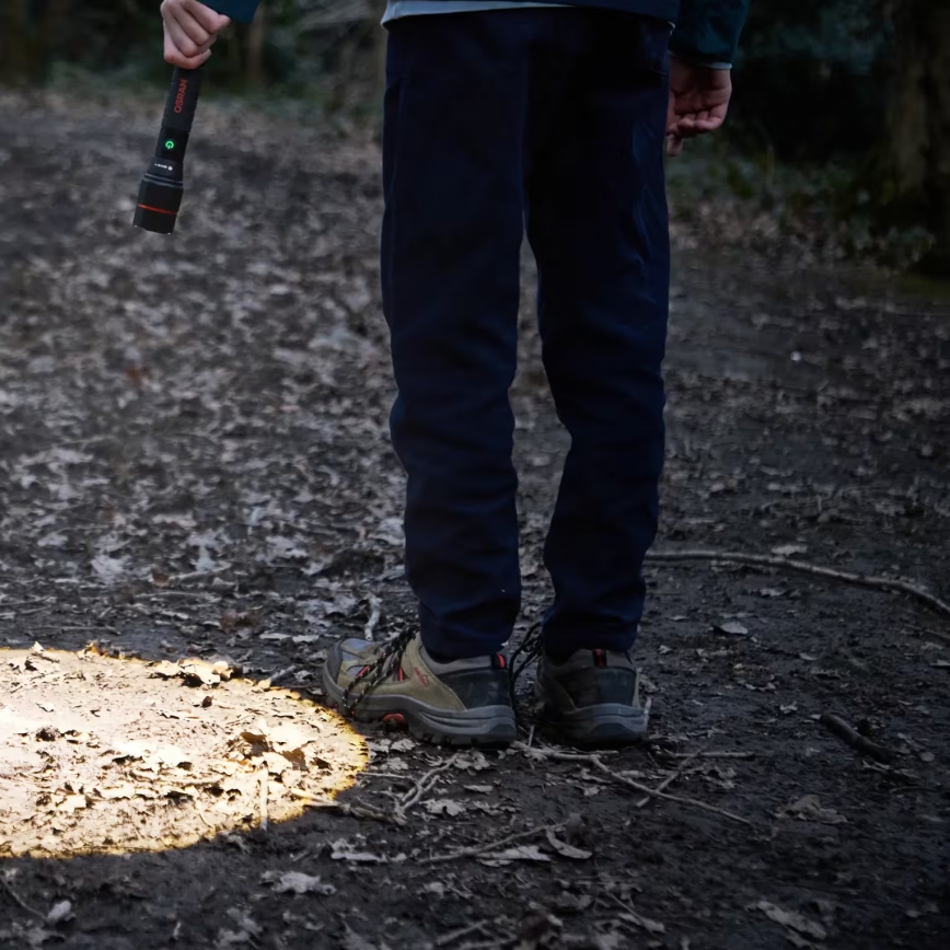 Osram - LED-dimbare oplaadbare zaklamp LEDINSPECT PRO TORCH 1200 LED/13W/3,6V 4000 mAh IP44