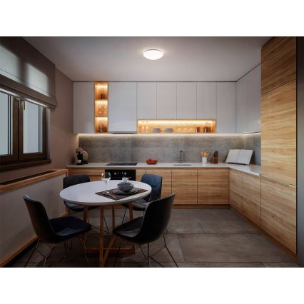 Osram - Plafondlamp CEILING ESSENTIAL 1xE27/25W/230V Ø 25 cm wit