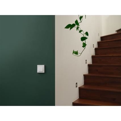 Osram - SMART+ MATTER 2-knops schakelaar 230V Wi-Fi