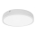 Palnas 61003580 - LED Badkamer plafondlamp EGON LED/30W/230V IP44 3000K