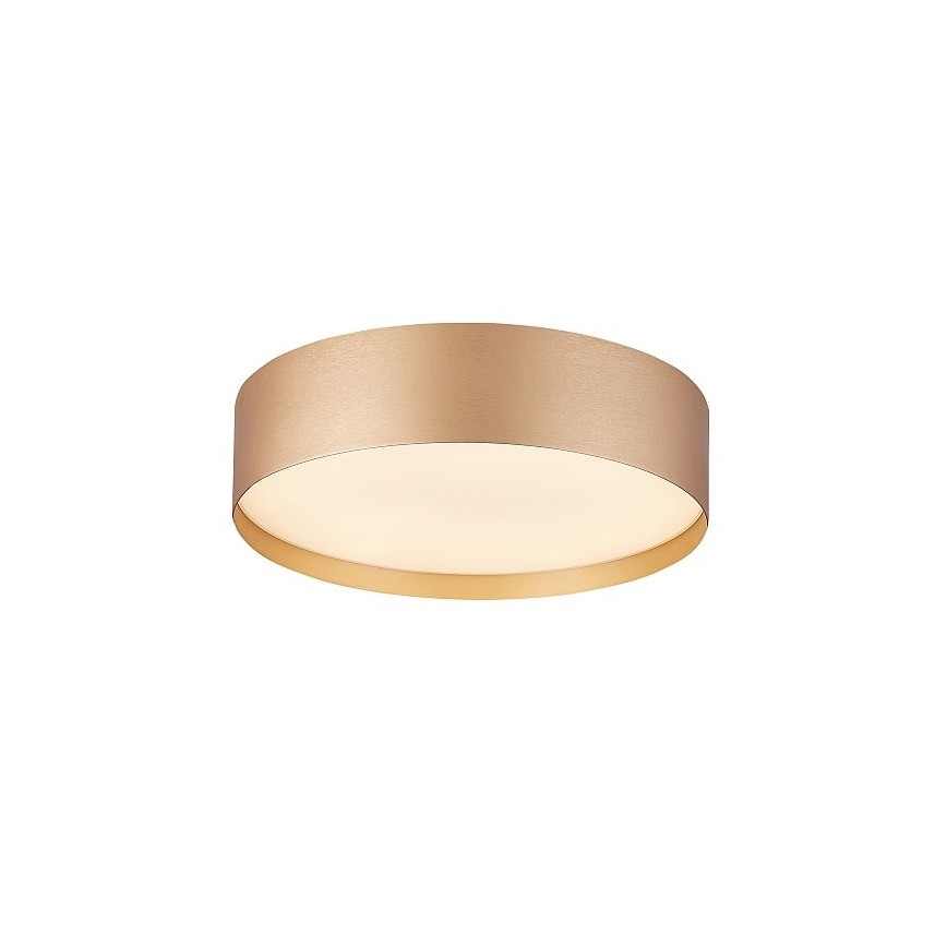 Palnas 61004624 - LED Plafondlamp SOFIE LED/50W/230V