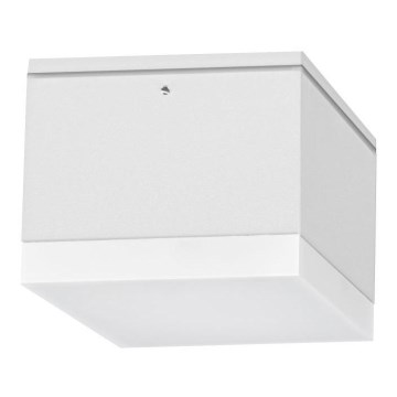 Palnas 66001470 - LED Plafondlamp voor buiten BRUNO LED/10W/230V IP54