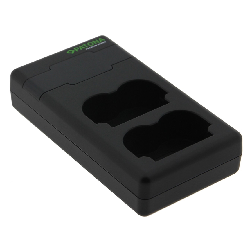 PATONA - Snellader Dual Panasonic DMW-BLF19 + kabel USB-C 0.6m