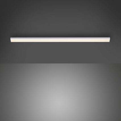 Paul Neuhaus 1125-21-A - LED Verlenging under keuken cabinet lamp AMON LED/6W/12/230V