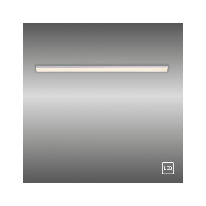 Paul Neuhaus 1125-21-A - LED Verlenging under keuken cabinet lamp AMON LED/6W/12/230V