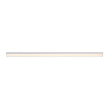 Paul Neuhaus 1125-21-A - LED Uitbreidingsarmatuur voor onderplafond AMON LED/6W/12/230V