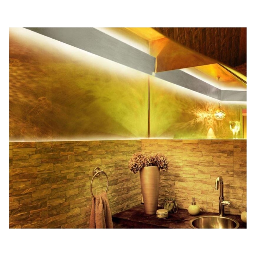 Paul Neuhaus 1205-70 - Dimbare LED RGB Strip TEANIA 10m LED/30W/12/230V +  afstandsbediening