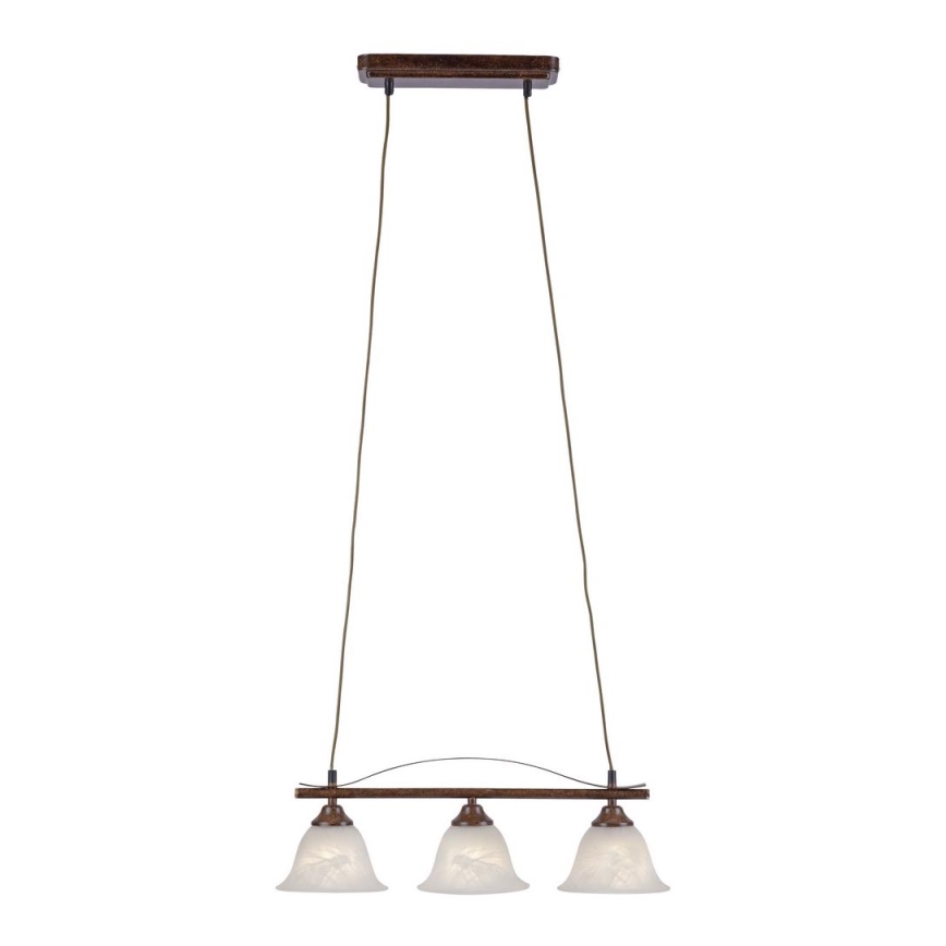 Paul Neuhaus 15243-48 - Hanglamp aan een koord NELLY 3xE14/40W/230V