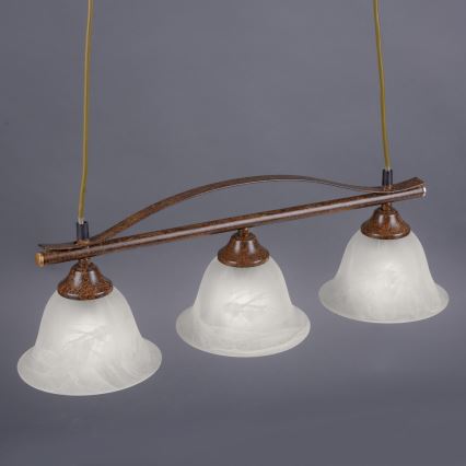 Paul Neuhaus 15243-48 - Hanglamp aan een koord NELLY 3xE14/40W/230V