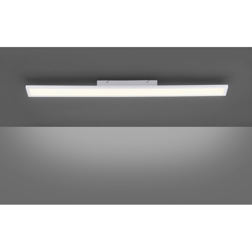 Paul Neuhaus 16537-16-O - Dimbaar LED Paneel voor Oppervlak Montage FLAT LED/21W/230V + afstandsbediening