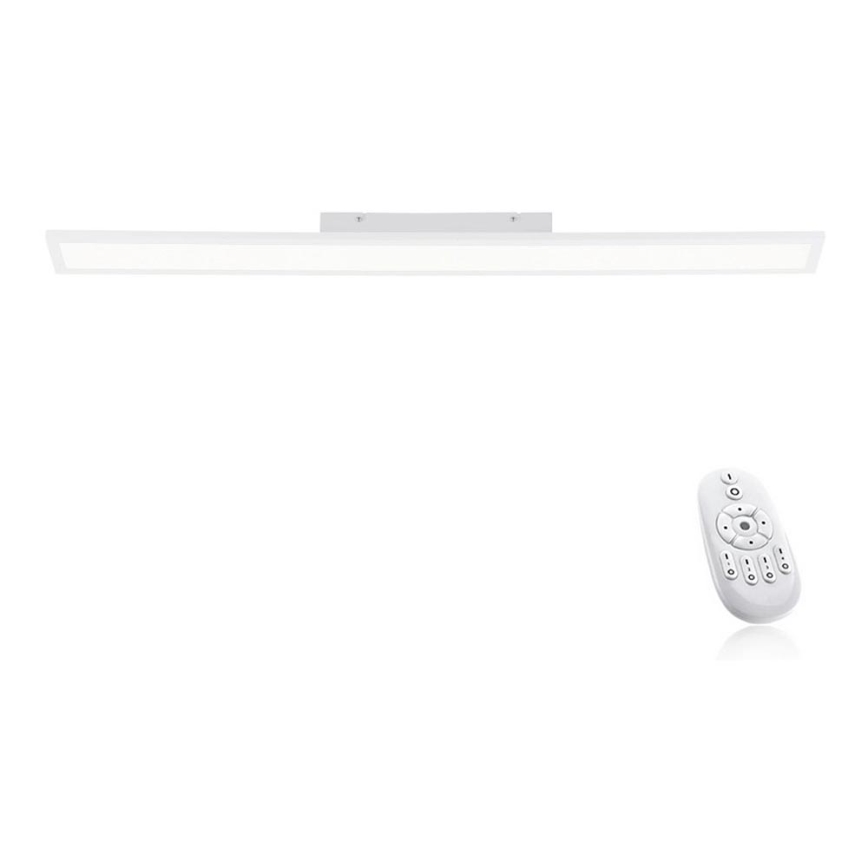 Paul Neuhaus 16537-16-O - Dimbaar LED Paneel voor Oppervlak Montage FLAT LED/21W/230V + afstandsbediening