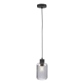 Paul Neuhaus 2006-25 - Hanglamp aan een koord BOLETUS 1xE27/10W/230V diameter 14 cm grijs