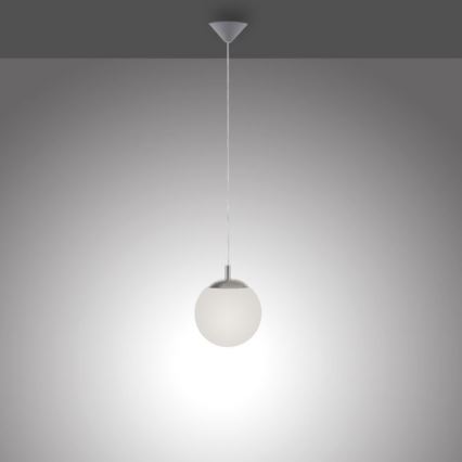 Paul Neuhaus 2072-55 - Hanglamp aan een koord BOLO 1xE27/60W/230V diameter 20 cm