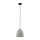 Paul Neuhaus 2231-22 - Hanglamp aan een koord ETON 1xE27/40W/230V beton