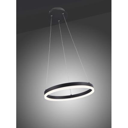 Paul Neuhaus 2381-13 - Dimbare LED Hanglamp aan een koord TITUS LED/28W/230V