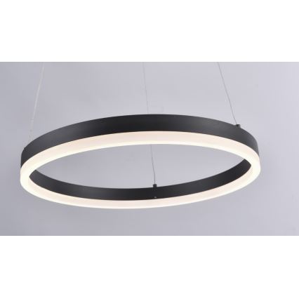 Paul Neuhaus 2381-13 - Dimbare LED Hanglamp aan een koord TITUS LED/28W/230V