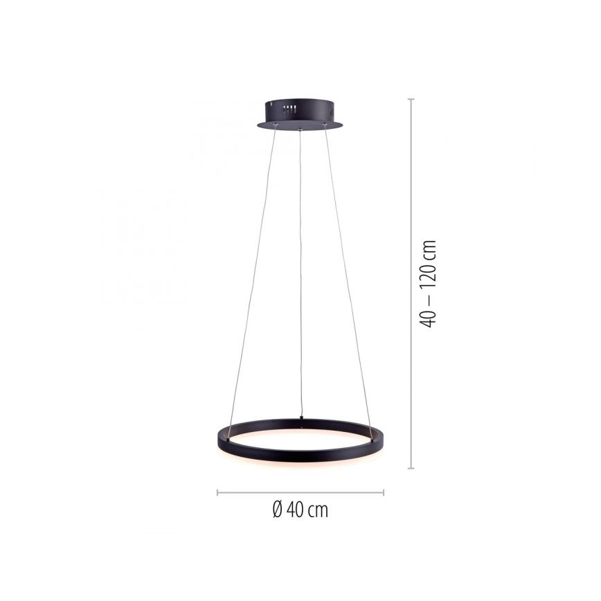 Paul Neuhaus 2381-13 - Dimbare LED Hanglamp aan een koord TITUS LED/28W/230V