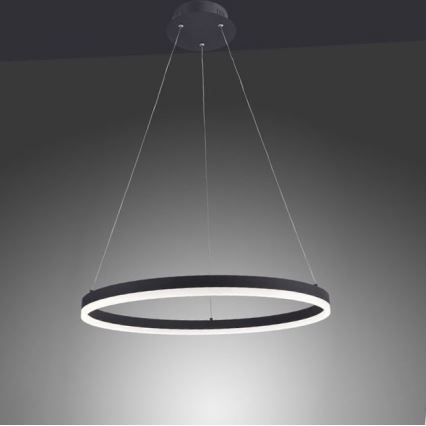 Paul Neuhaus 2382-13 - Dimbare LED Hanglamp aan een koord TITUS LED/38,5W/230V