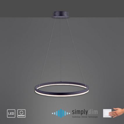 Paul Neuhaus 2382-13 - Dimbare LED Hanglamp aan een koord TITUS LED/38,5W/230V