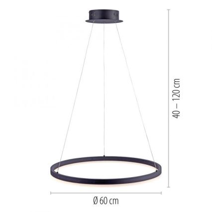 Paul Neuhaus 2382-13 - Dimbare LED Hanglamp aan een koord TITUS LED/38,5W/230V