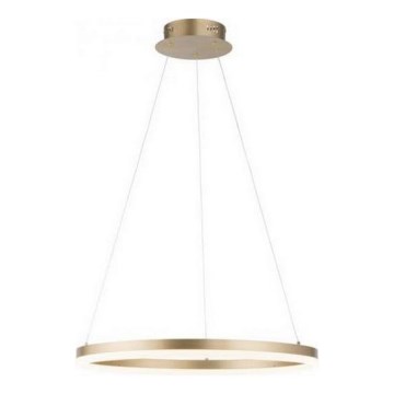 Paul Neuhaus 2382-60 - Dimbare LED hanglamp aan een koord TITUS LED/38,5W/230V