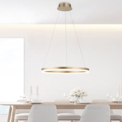 Paul Neuhaus 2382-60 - Dimbare LED hanglamp aan een koord TITUS LED/38,5W/230V