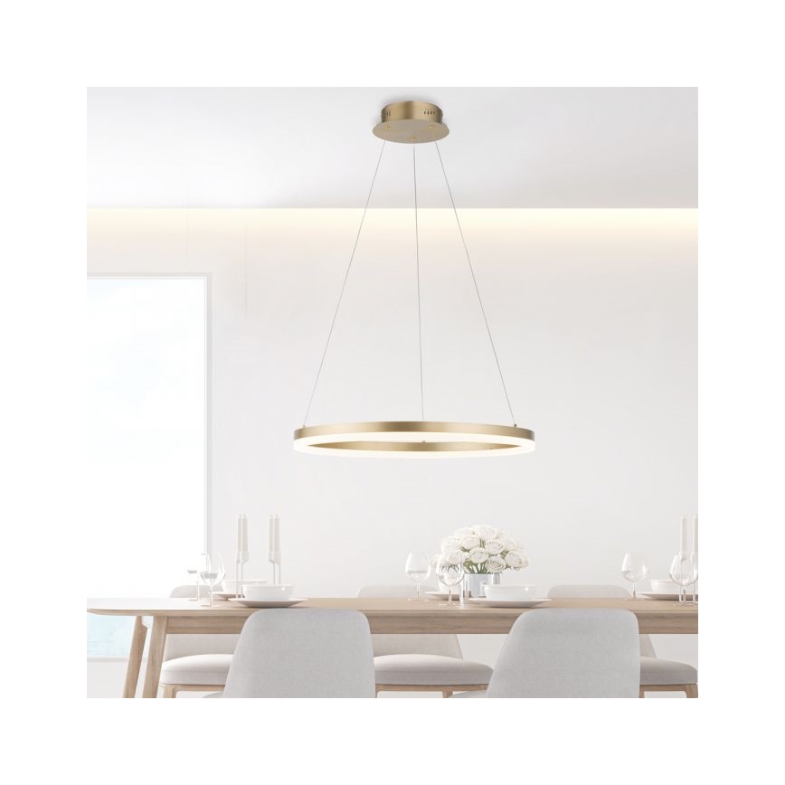 Paul Neuhaus 2382-60 - Dimbare LED hanglamp aan een koord TITUS LED/38,5W/230V