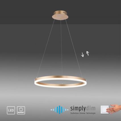 Paul Neuhaus 2382-60 - Dimbare LED hanglamp aan een koord TITUS LED/38,5W/230V