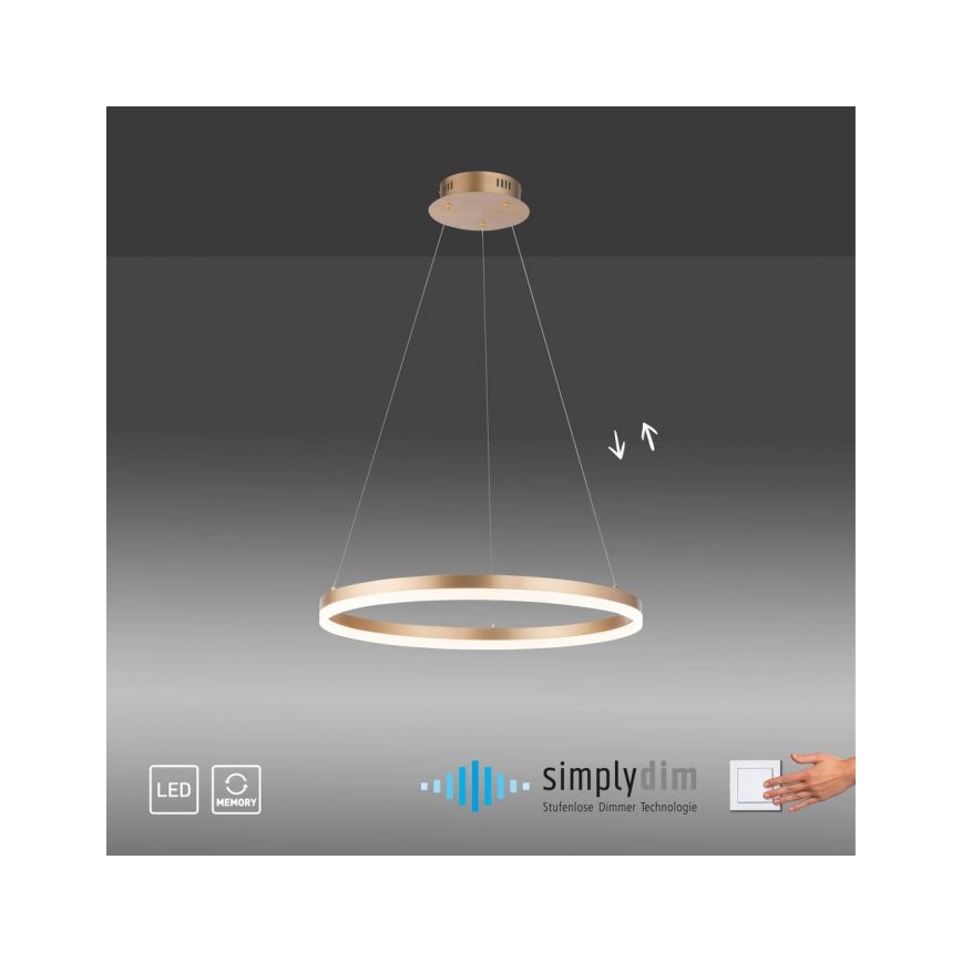 Paul Neuhaus 2382-60 - Dimbare LED hanglamp aan een koord TITUS LED/38,5W/230V