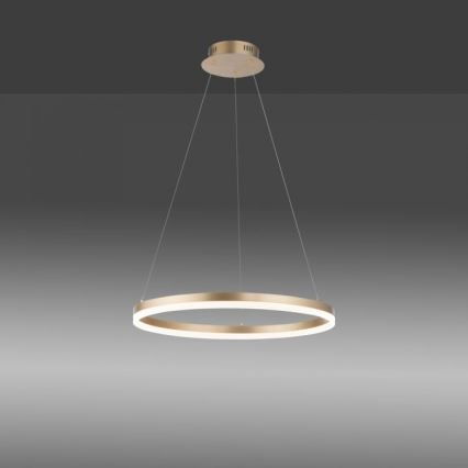 Paul Neuhaus 2382-60 - Dimbare LED hanglamp aan een koord TITUS LED/38,5W/230V