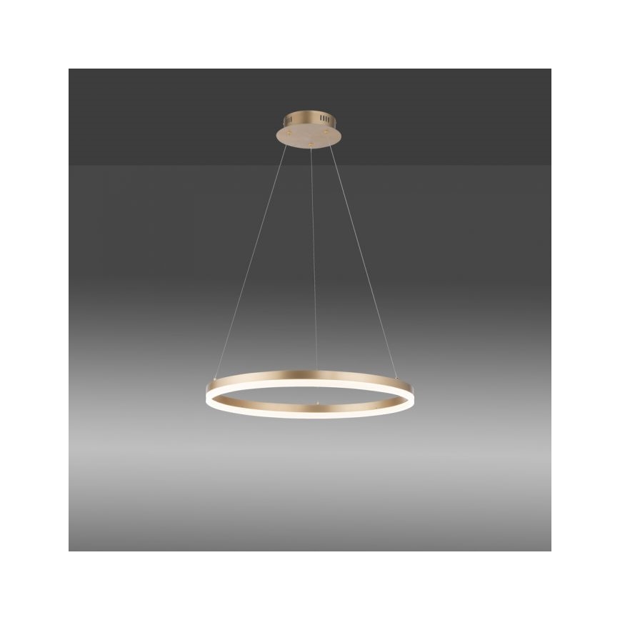 Paul Neuhaus 2382-60 - Dimbare LED hanglamp aan een koord TITUS LED/38,5W/230V