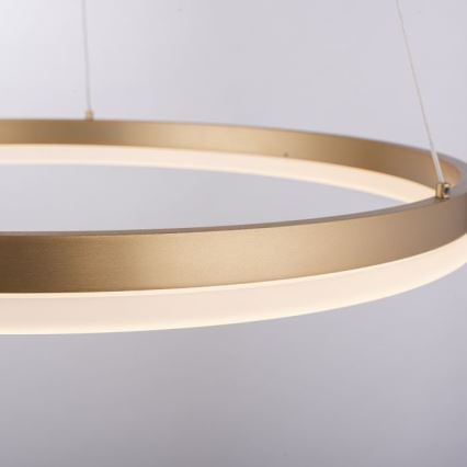 Paul Neuhaus 2382-60 - Dimbare LED hanglamp aan een koord TITUS LED/38,5W/230V