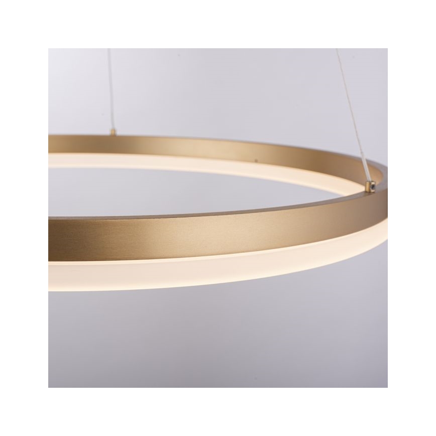 Paul Neuhaus 2382-60 - Dimbare LED hanglamp aan een koord TITUS LED/38,5W/230V