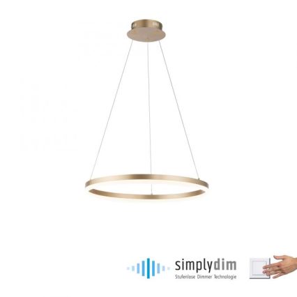 Paul Neuhaus 2382-60 - Dimbare LED hanglamp aan een koord TITUS LED/38,5W/230V