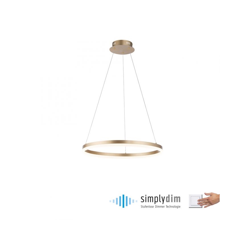 Paul Neuhaus 2382-60 - Dimbare LED hanglamp aan een koord TITUS LED/38,5W/230V