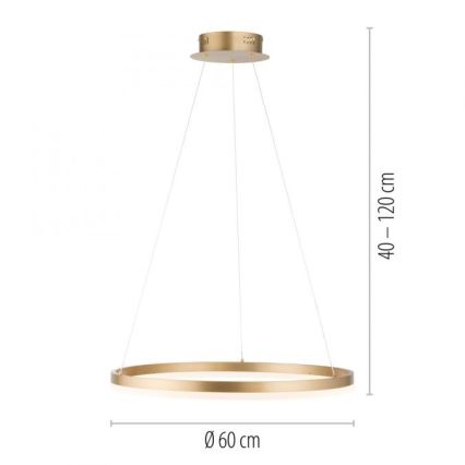 Paul Neuhaus 2382-60 - Dimbare LED hanglamp aan een koord TITUS LED/38,5W/230V