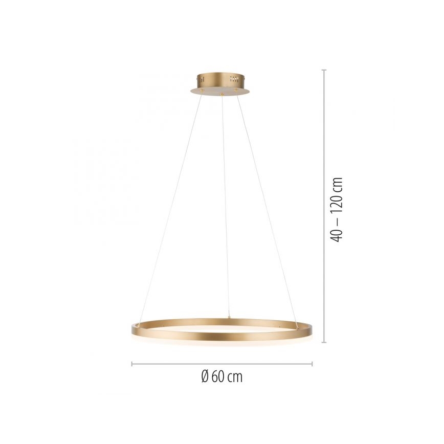Paul Neuhaus 2382-60 - Dimbare LED hanglamp aan een koord TITUS LED/38,5W/230V