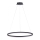 Paul Neuhaus 2383-13 - Dimbare LED Hanglamp aan een koord TITUS LED/50W/230V