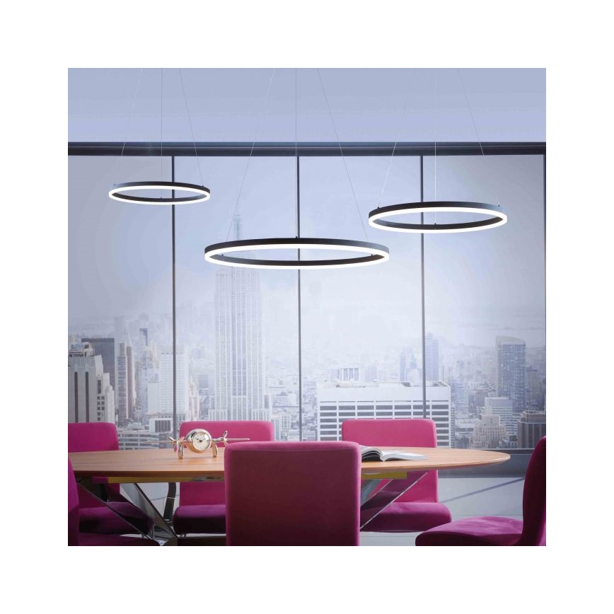 Paul Neuhaus 2383-13 - Dimbare LED Hanglamp aan een koord TITUS LED/50W/230V