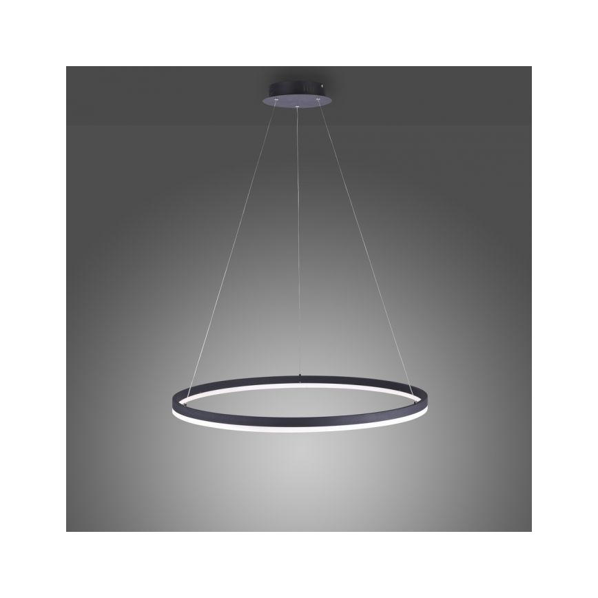 Paul Neuhaus 2383-13 - Dimbare LED Hanglamp aan een koord TITUS LED/50W/230V