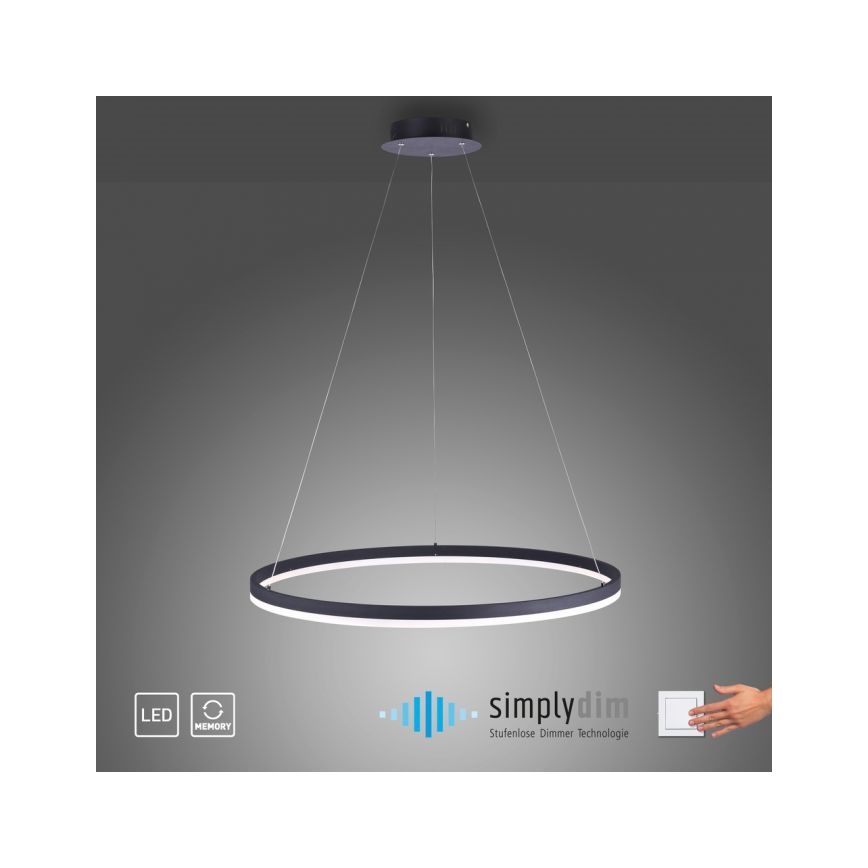 Paul Neuhaus 2383-13 - Dimbare LED Hanglamp aan een koord TITUS LED/50W/230V