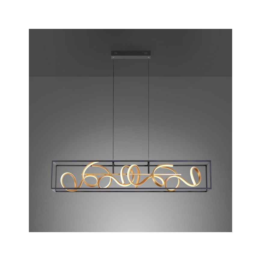Paul Neuhaus 2416-18 - LED Hanglamp aan koord dimbaar SELINA 4xLED/10,2W/230V