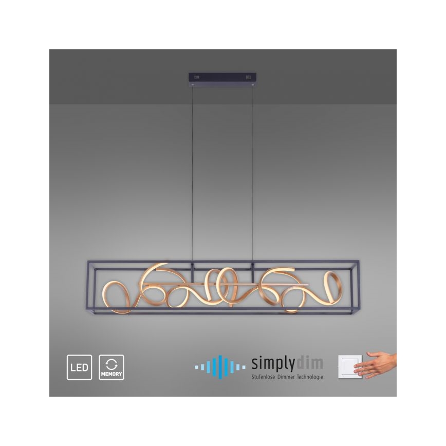 Paul Neuhaus 2416-18 - LED Hanglamp aan koord dimbaar SELINA 4xLED/10,2W/230V