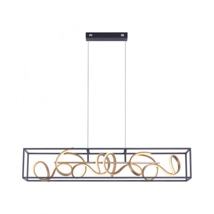 Paul Neuhaus 2416-18 - LED Hanglamp aan koord dimbaar SELINA 4xLED/10,2W/230V