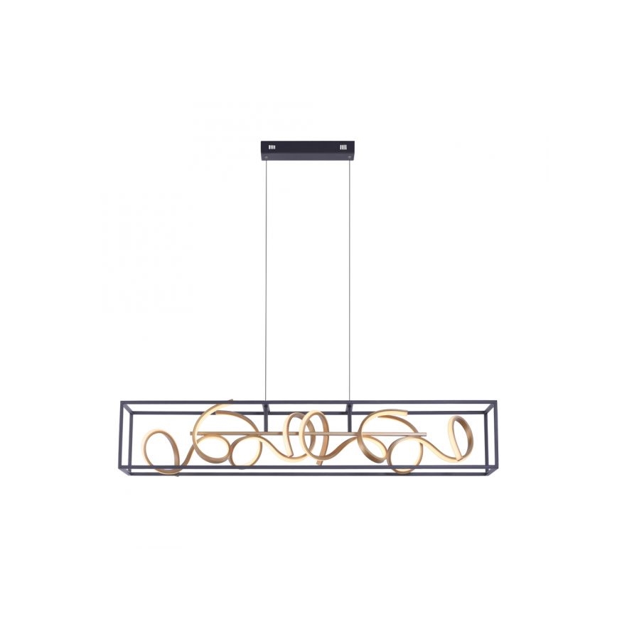Paul Neuhaus 2416-18 - LED Hanglamp aan koord dimbaar SELINA 4xLED/10,2W/230V