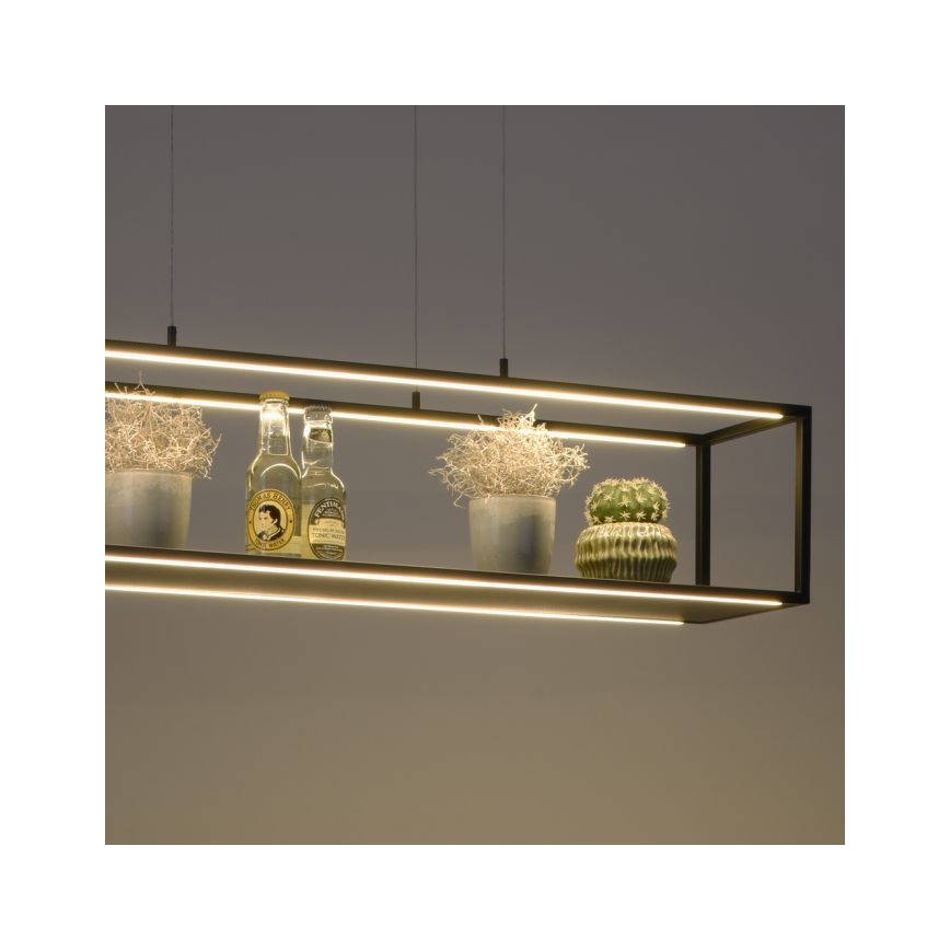 Paul Neuhaus 2441-18 - LED dimbare hanglamp aan een touwtje CONTURA 4xLED/8W/230V