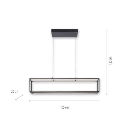 Paul Neuhaus 2441-18 - LED dimbare hanglamp aan een touwtje CONTURA 4xLED/8W/230V