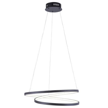 Paul Neuhaus 2472-18 - Dimbare LED Hanglamp aan een koord ROMAN LED/30W/230V zwart