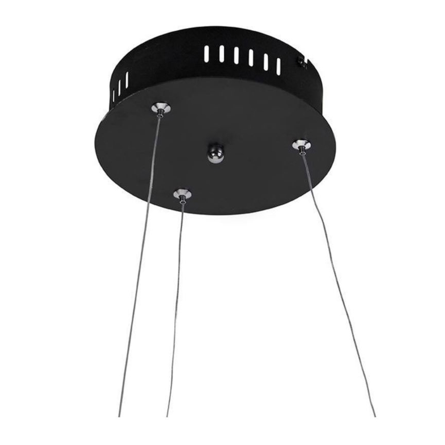 Paul Neuhaus 2472-18 - Dimbare LED Hanglamp aan een koord ROMAN LED/30W/230V zwart