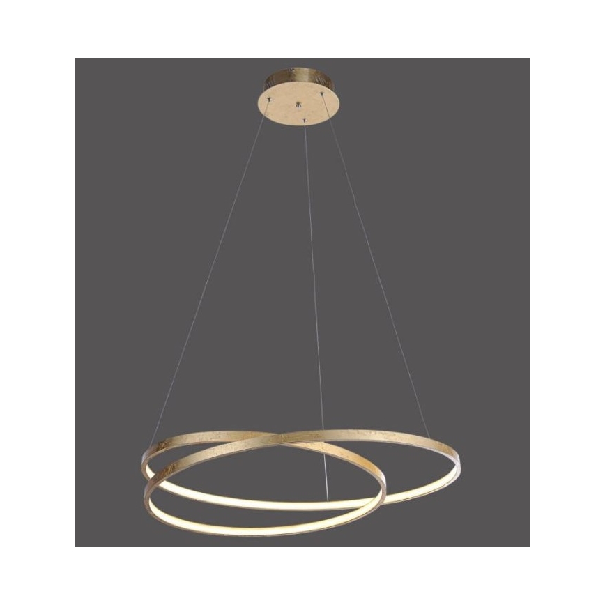 Paul Neuhaus 2474-12 - Dimbare LED Hanglamp aan een koord ROMAN LED/40W/230V goud
